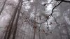 DSC_0330-001.JPG