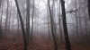 DSC_0332.JPG