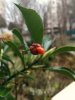 IMG_20180219_095622-01.jpeg