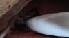 IMG_20180227_142304.jpg