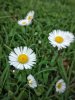 IMG_20180502_165605-01.jpg