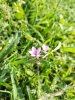 IMG_20180506_100235-01.jpeg