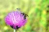 20180528_231559.jpeg