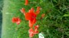 20180630_095634.jpg