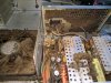 IMG_20180808_194709.jpg