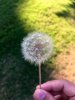 B5DAB264-65CA-4F57-B5B6-5FA8BE1D4040.jpeg