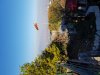 20181011_160041.jpg