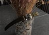 Amphibia_04.jpg