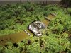 Amphibia_05.jpg