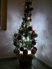 IMG_20181209_043306.jpeg
