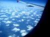 IMG_20130622_153923.JPG