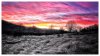 50025FD3-50DF-49F9-86BB-030B2E2CD4B7.jpeg