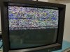 20190408_133433(0).jpeg