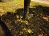 20190618_211950.jpg