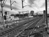 IMG_20190702_132852.jpeg