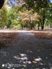 IMG_20190928_125002.jpeg