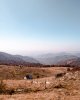 IMG_20191026_113135_515.jpeg