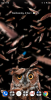 Screenshot_20191204-140207.png