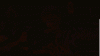 SmartSelect_20200130-115702_Google.gif