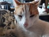 20190719_142111.jpg