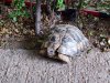 IMG_20200518_153213.jpeg