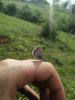 IMG_20200519_162819.jpg
