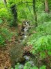 20200605_083021.jpg