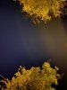 537447FE-3E75-4E39-8ADD-D84D00149D7C.jpeg