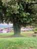20200704_162814.jpeg