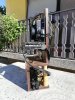 IMG_20200802_171117.jpg