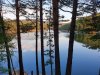 20200731_190336.jpg