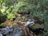 IMG_20200817_152405.jpg