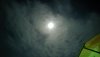 IMG_20201004_234020.jpg