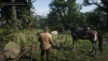 Red Dead Redemption 2 Screenshot 2020.10.25 - 16.44.52.15.png