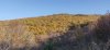 IMG_20201114_140120.jpeg