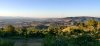 IMG_20200906_182318.jpeg