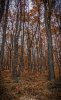 PXL_20201128_132844804 (1).jpg