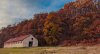 IMG_20201128_153240_126.jpg