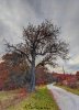 PXL_20201128_131825184.jpg
