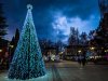 PXL_20201214_153149512.NIGHT.jpg