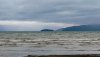 PXL_20201209_120758669.NIGHT.jpg