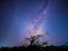 Shayne_Mostyn_Photography-004149.jpg
