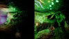 1504980_screenshots_20210418002316_1.jpg
