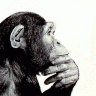 monkeyThumbs