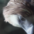 white_eagle