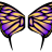 butterfly*N